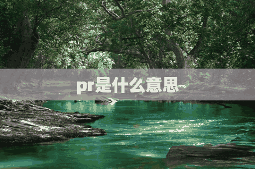 pr是什么意思